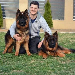 ❤️❤️ #vukankennel